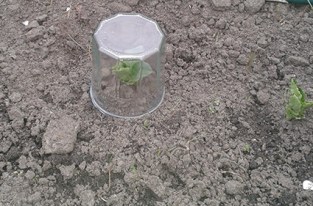 20160422_191756 klein