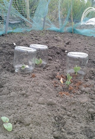 20160422_191832 klein