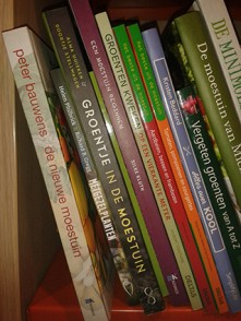 groentje-in-de-moestuin